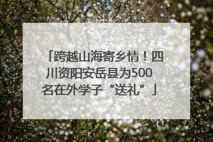 跨越山海寄乡情！四川资阳安岳县为500名在外学子“送礼”