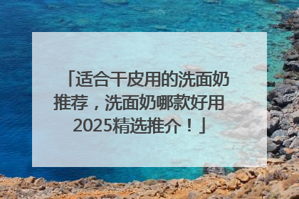 适合干皮用的洗面奶推荐，洗面奶哪款好用2025精选推介！