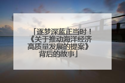 逐梦深蓝正当时！《关于推动海洋经济高质量发展的提案》背后的故事