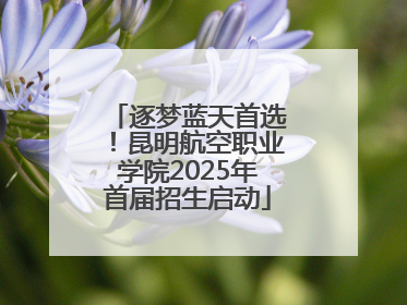 逐梦蓝天首选！昆明航空职业学院2025年首届招生启动