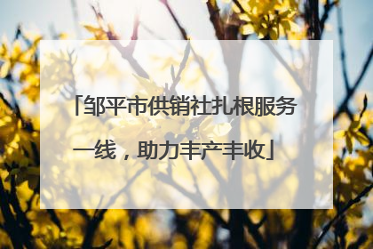邹平市供销社扎根服务一线，助力丰产丰收