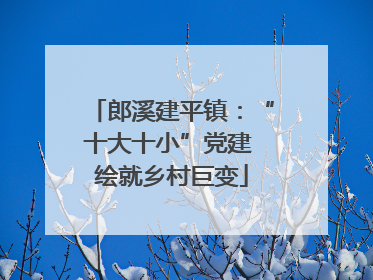 郎溪建平镇：“十大十小”党建 绘就乡村巨变
