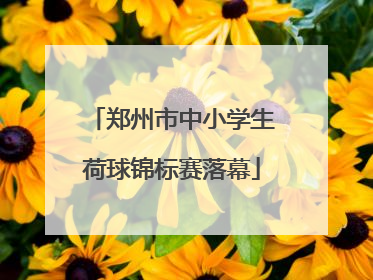 郑州市中小学生荷球锦标赛落幕