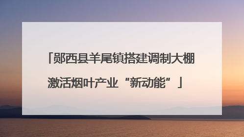 郧西县羊尾镇搭建调制大棚激活烟叶产业“新动能”