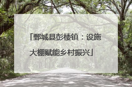鄄城县彭楼镇：设施大棚赋能乡村振兴