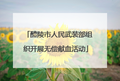 醴陵市人民武装部组织开展无偿献血活动