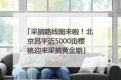 采摘路线图来啦！北京昌平近5000亩樱桃迎来采摘黄金期