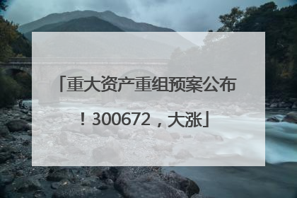 重大资产重组预案公布！300672，大涨