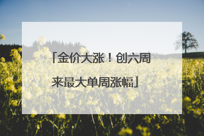 金价大涨！创六周来最大单周涨幅
