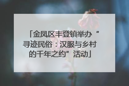 金凤区丰登镇举办“寻迹民俗：汉服与乡村的千年之约”活动