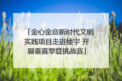 金心金意新时代文明实践项目走进楼宇 开展垂直攀登挑战赛