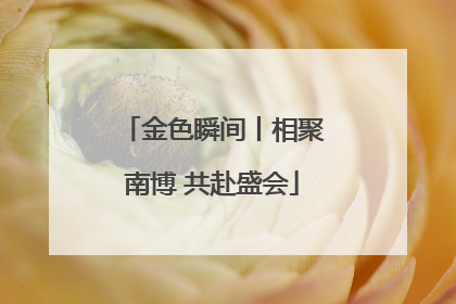 金色瞬间丨相聚南博 共赴盛会