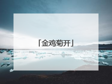 金鸡菊开
