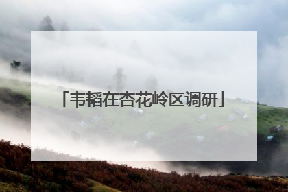韦韬在杏花岭区调研