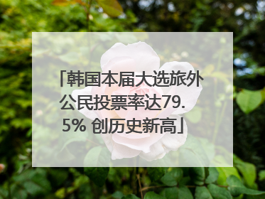 韩国本届大选旅外公民投票率达79.5% 创历史新高