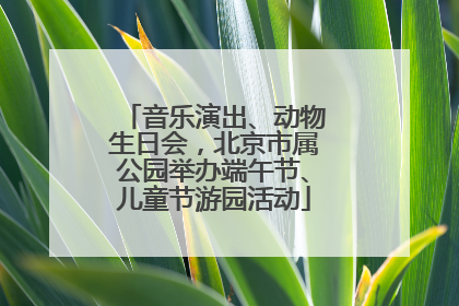 音乐演出、动物生日会，北京市属公园举办端午节、儿童节游园活动
