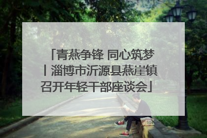 青燕争锋 同心筑梦丨淄博市沂源县燕崖镇召开年轻干部座谈会
