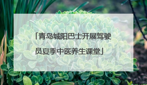 青岛城阳巴士开展驾驶员夏季中医养生课堂