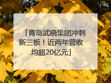 青岛武晓集团冲刺新三板！近两年营收均超20亿元