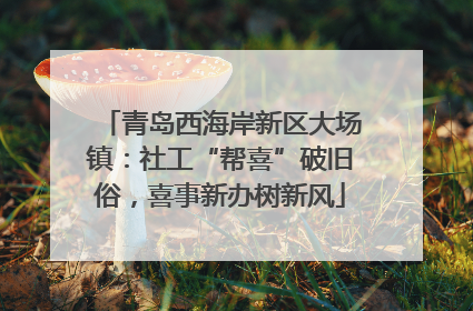 青岛西海岸新区大场镇：社工“帮喜”破旧俗，喜事新办树新风