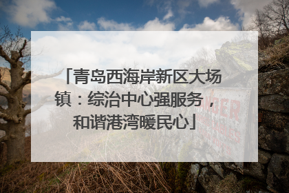 青岛西海岸新区大场镇：综治中心强服务，和谐港湾暖民心