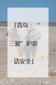 青岛：“三夏”护农话安全