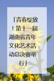 青春绽放！第十一届湖南省青年文化艺术活动总决赛举行