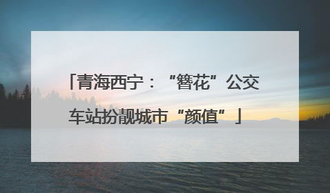 青海西宁：“簪花”公交车站扮靓城市“颜值”
