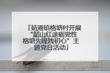 靖港镇格塘村开展“韶山红途砺党性 格塘先锋践初心”主题党日活动