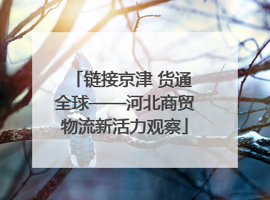 链接京津 货通全球——河北商贸物流新活力观察
