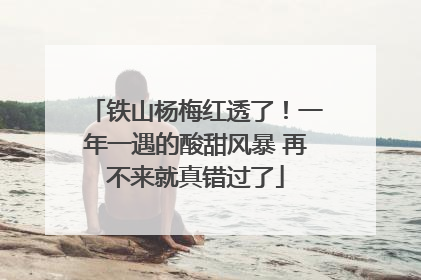 铁山杨梅红透了！一年一遇的酸甜风暴 再不来就真错过了