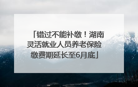 错过不能补缴！湖南灵活就业人员养老保险缴费期延长至6月底