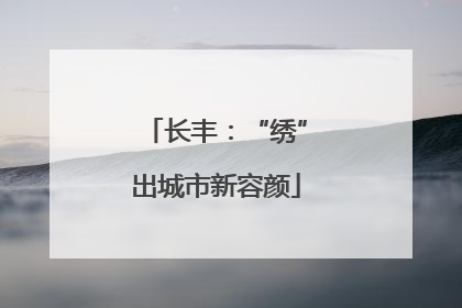 长丰：“绣”出城市新容颜