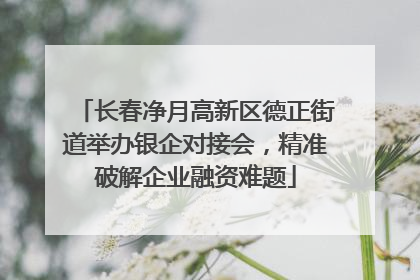 长春净月高新区德正街道举办银企对接会，精准破解企业融资难题