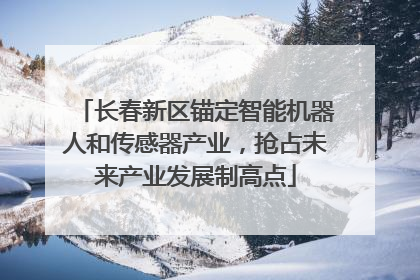 长春新区锚定智能机器人和传感器产业，抢占未来产业发展制高点