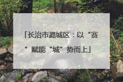 长治市潞城区：以“赛”赋能“城”势而上