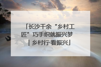 长沙千余“乡村工匠”巧手织就振兴梦｜乡村行·看振兴