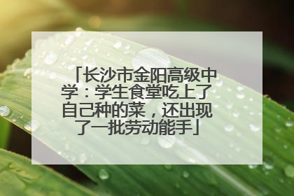 长沙市金阳高级中学：学生食堂吃上了自己种的菜，还出现了一批劳动能手