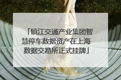 镇江交通产业集团智慧停车数据资产在上海数据交易所正式挂牌