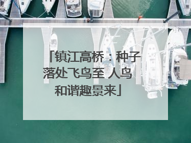 镇江高桥：种子落处飞鸟至 人鸟和谐趣景来