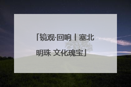 镜观·回响丨塞北明珠 文化瑰宝