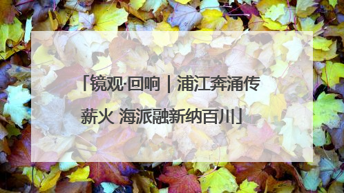 镜观·回响｜浦江奔涌传薪火 海派融新纳百川