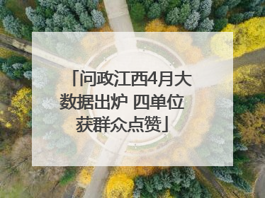 问政江西4月大数据出炉 四单位获群众点赞