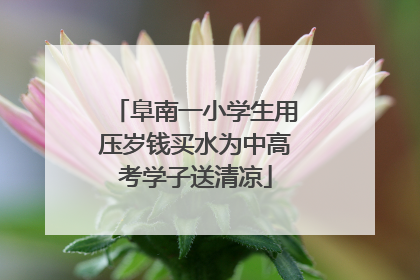 阜南一小学生用压岁钱买水为中高考学子送清凉