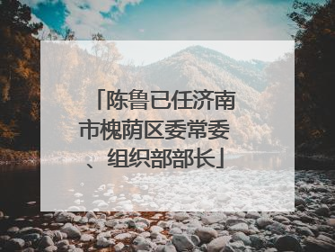 陈鲁已任济南市槐荫区委常委、组织部部长
