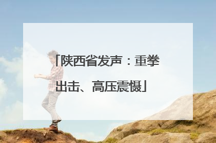 陕西省发声：重拳出击、高压震慑