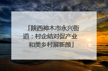 陕西神木市永兴街道：村企结对促产业 和美乡村展新颜