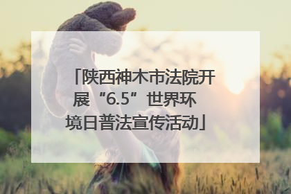 陕西神木市法院开展“6.5”世界环境日普法宣传活动