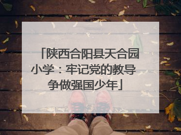 陕西合阳县天合园小学：牢记党的教导 争做强国少年