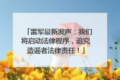 雷军最新发声：我们将启动法律程序，追究造谣者法律责任！